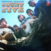Álbum Psychotic Reaction de Count Five