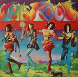 Capa do álbum The Fool da banda The Fool
